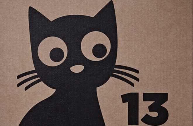 Чёрная кошка и число 13 как источник вдохновения: креативный дизайн упаковки